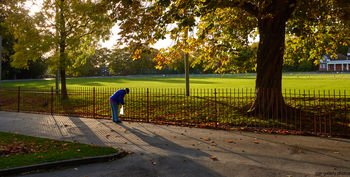 Queens Park conkers This landscape photograph captures Queen's Park in the United Kingdom during an autumn morning, with golden light streaming through the trees that line the park's paths. The main subject of the image is conkers from the park's horse chestnut trees, visible along the edge of the paths. Shadows stretch across the ground, highlighting the presence of nature as leaves begin to fall. In the background, one of Queen's Park’s pavilion buildings is visible, and the well-maintained field showcases the park’s typical layout bordered by mature trees. This scene is characteristic of public parks in the UK, where nature and urban spaces intersect.